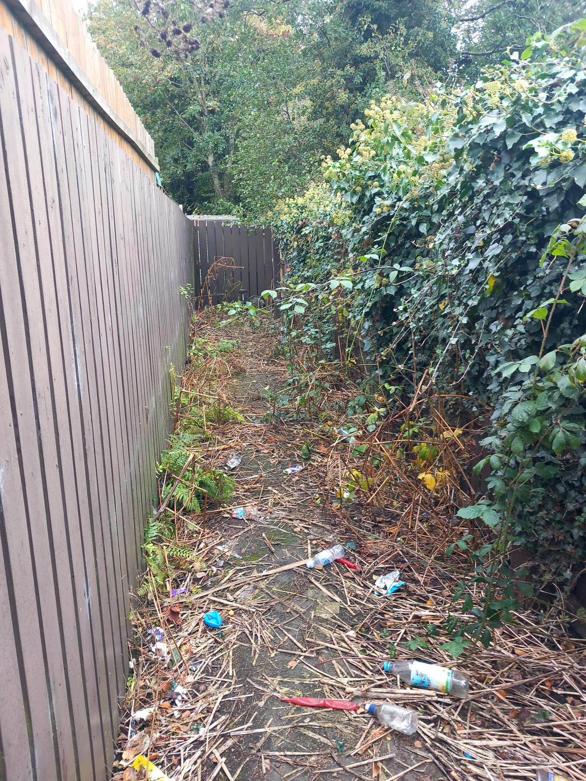 BEFORE: The alleyway was overgrown and strewn with rubbish
