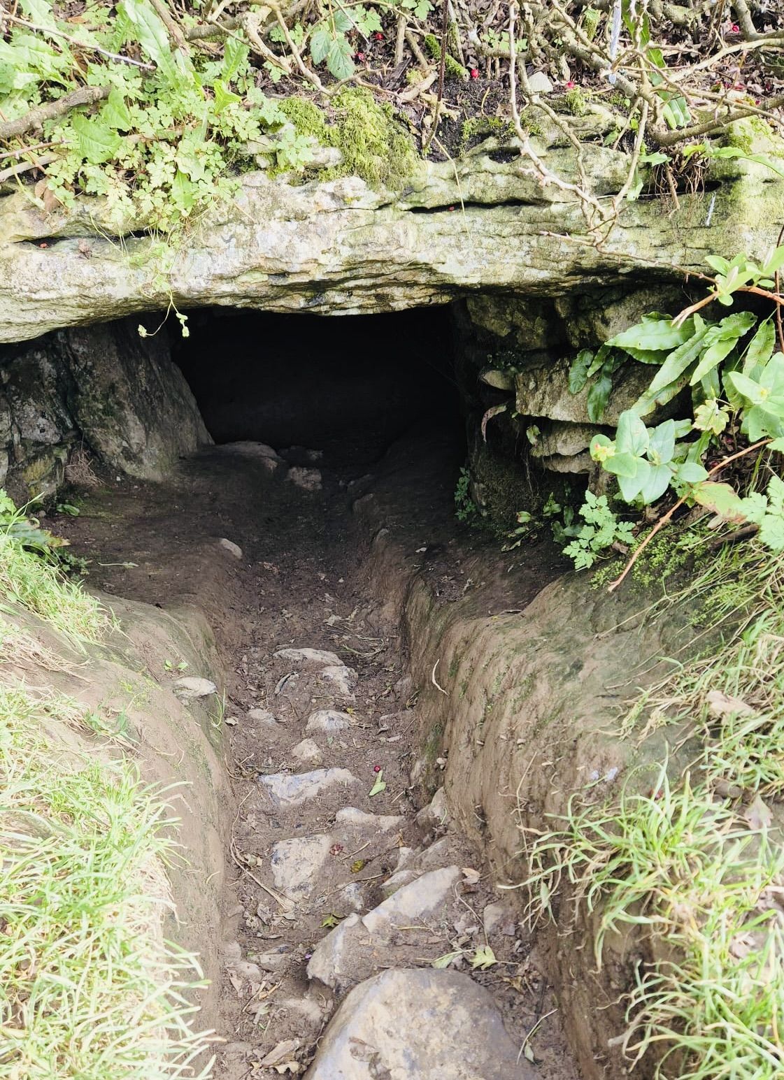The entrance to the County Roscommon cave has a special place in Irish mythology