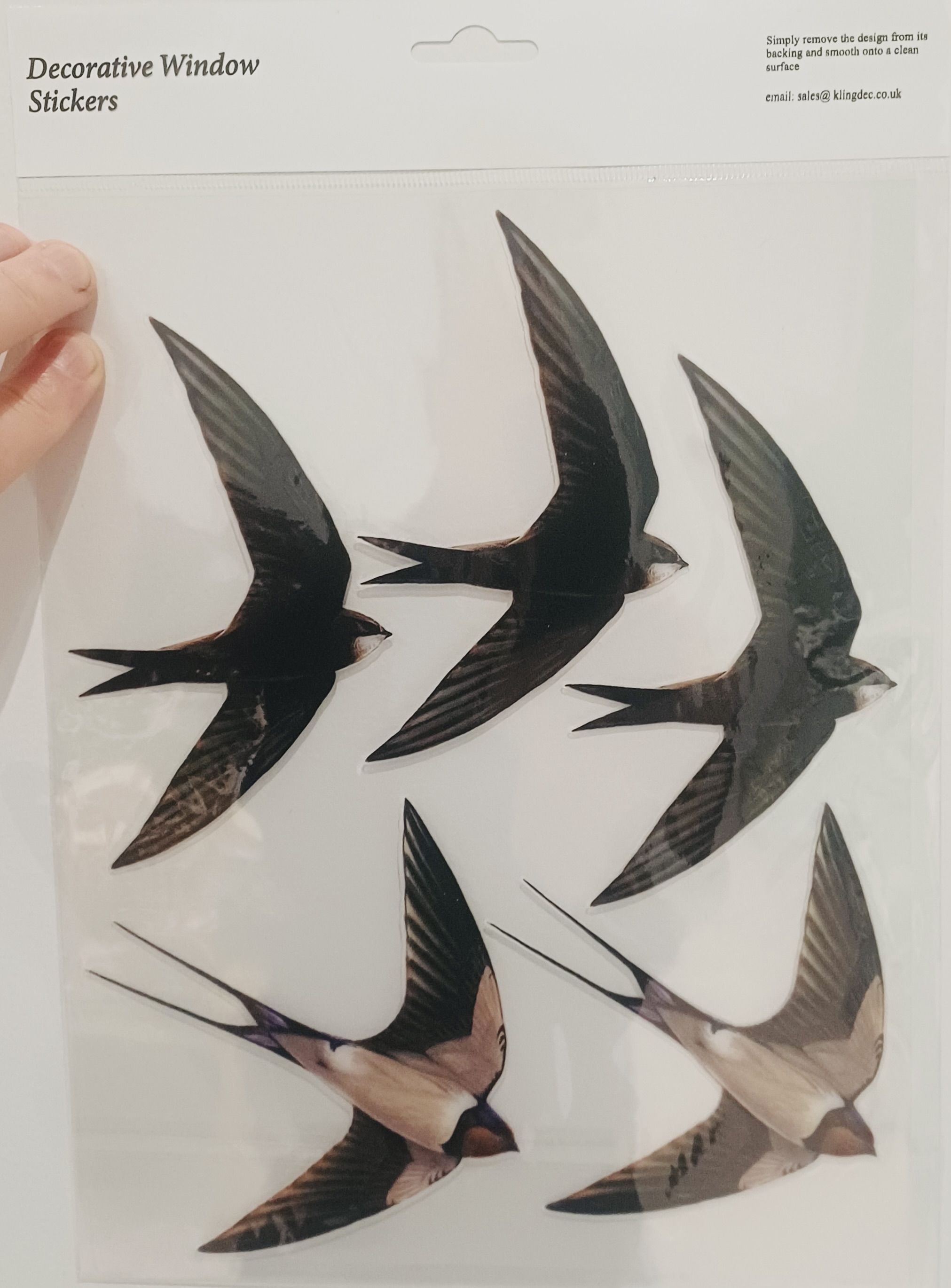 SAVIOUR: These RSPB stickers will hopefully stop birds flying into Dúlra's windows