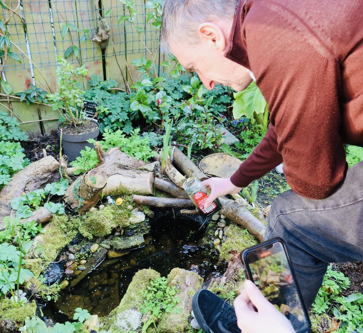 Dúlra pours the tadpoles into his garden pond