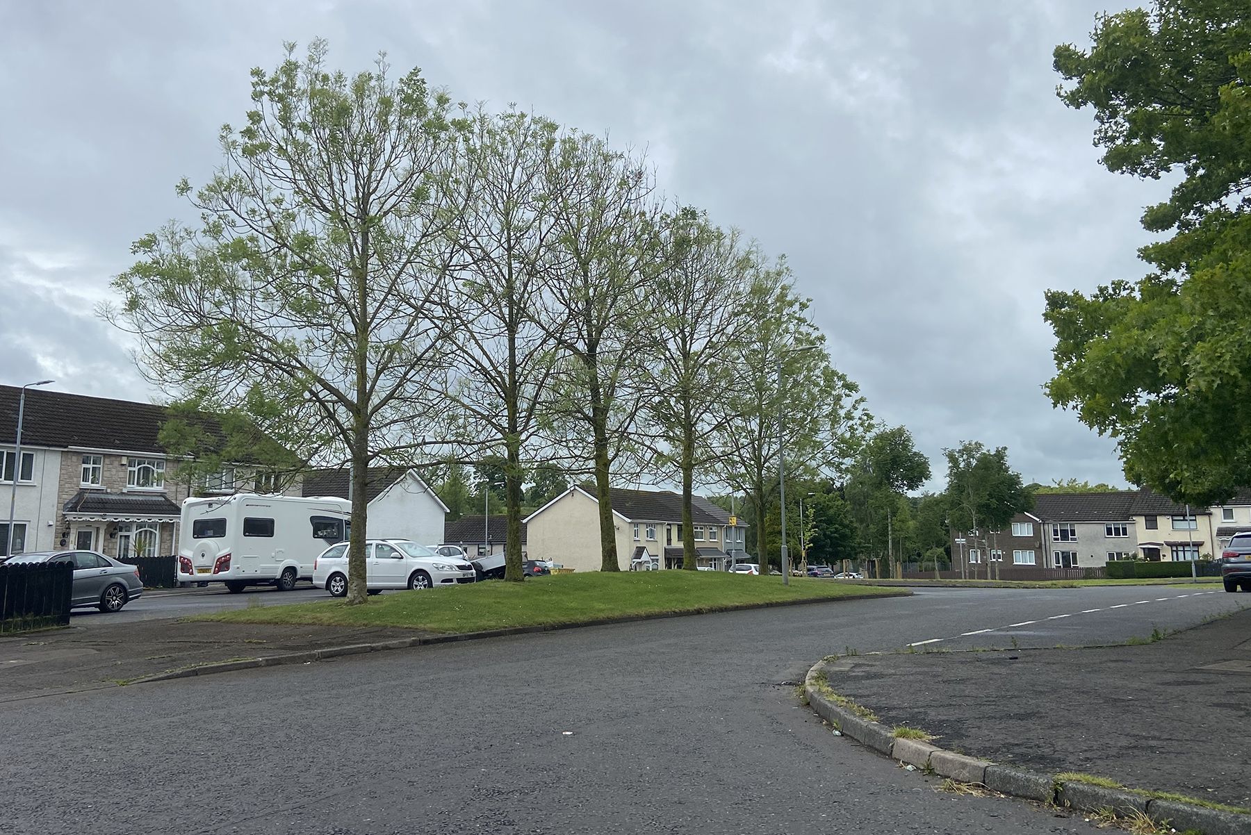 Trees are affected on one side of the street