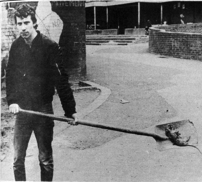 RODENTS STREET: One resident cleans up the rat infestation in Divis Flats