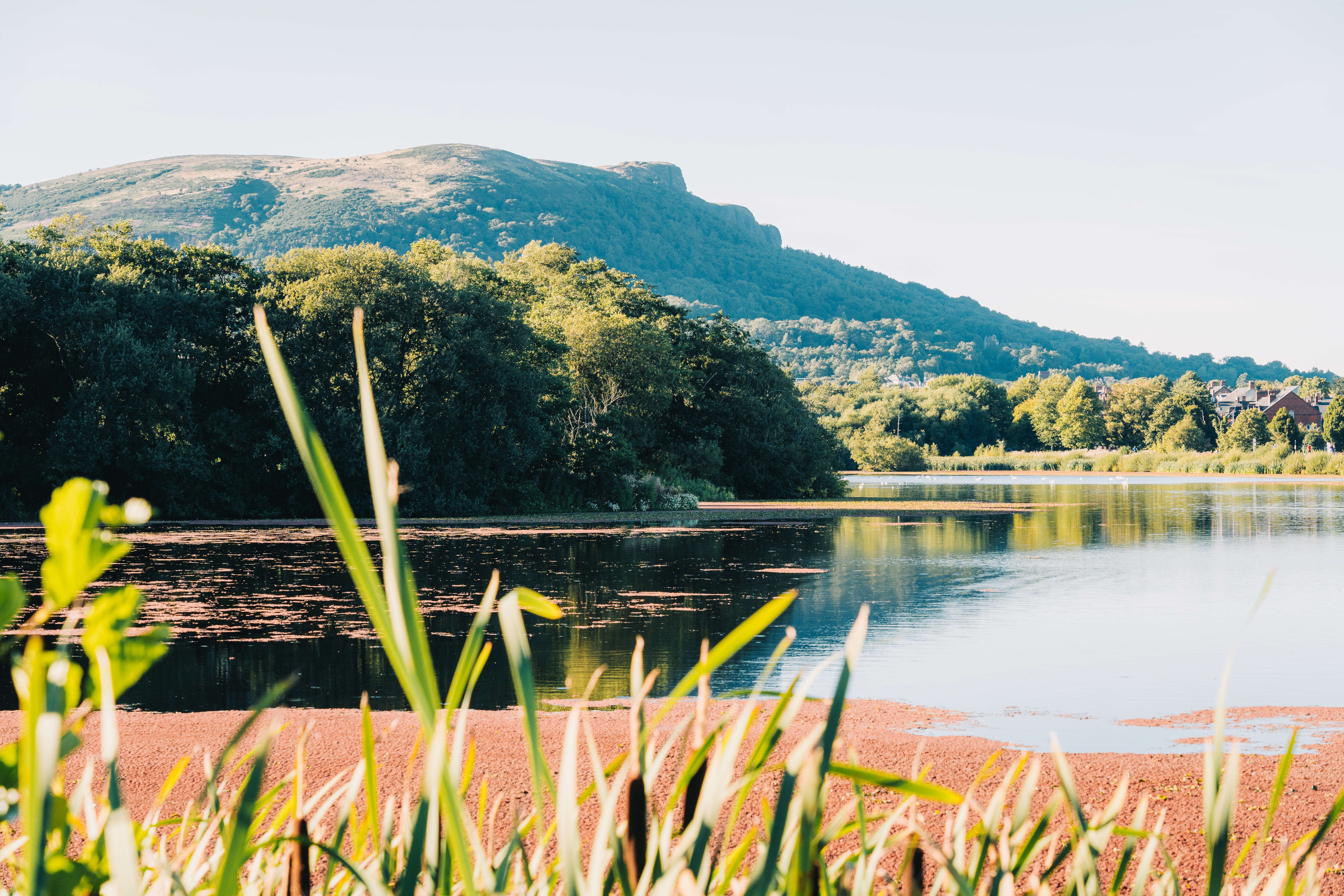 Waterworks in North Belfast