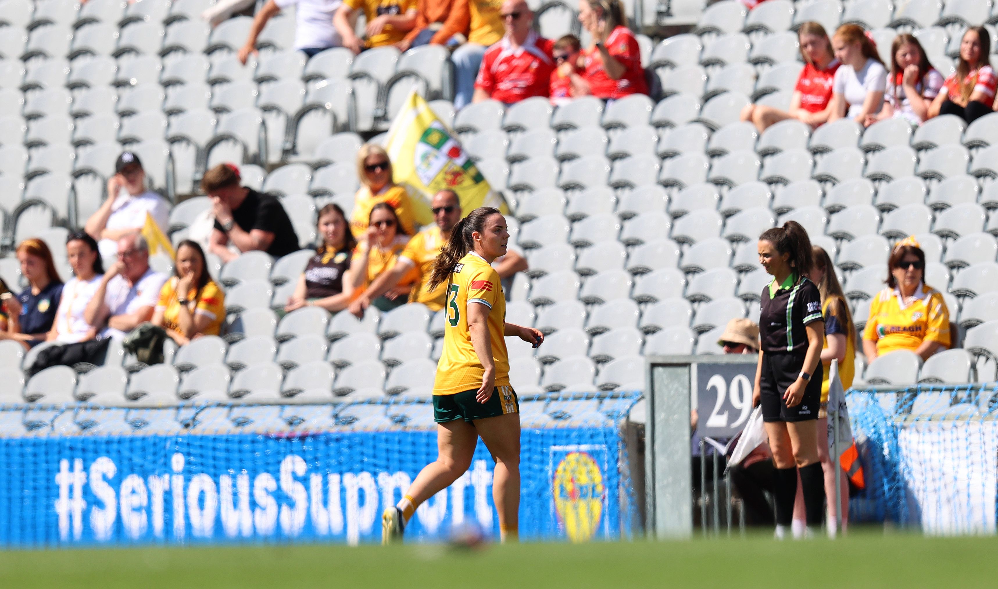 HERO TO ZERO: Devlin's sin-bin proved pivotal in the game