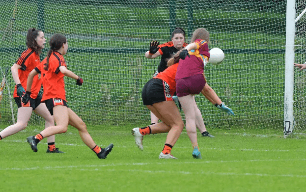 Gort na Mona won the Junior Championship in 2020