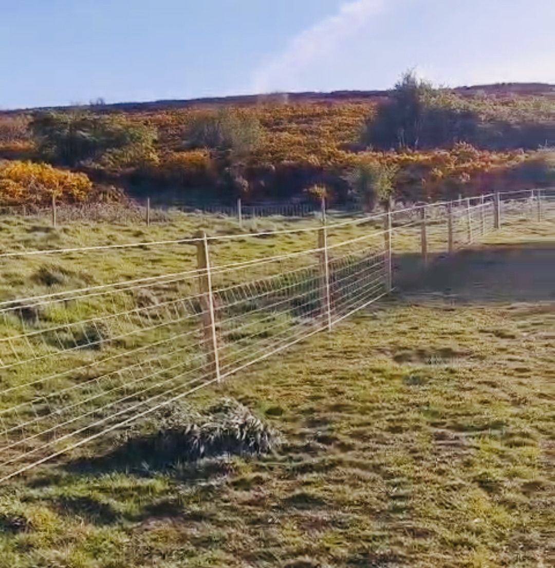 GOOD NEWS: The Council has agreed to change the wire on this fence on Cave Hill