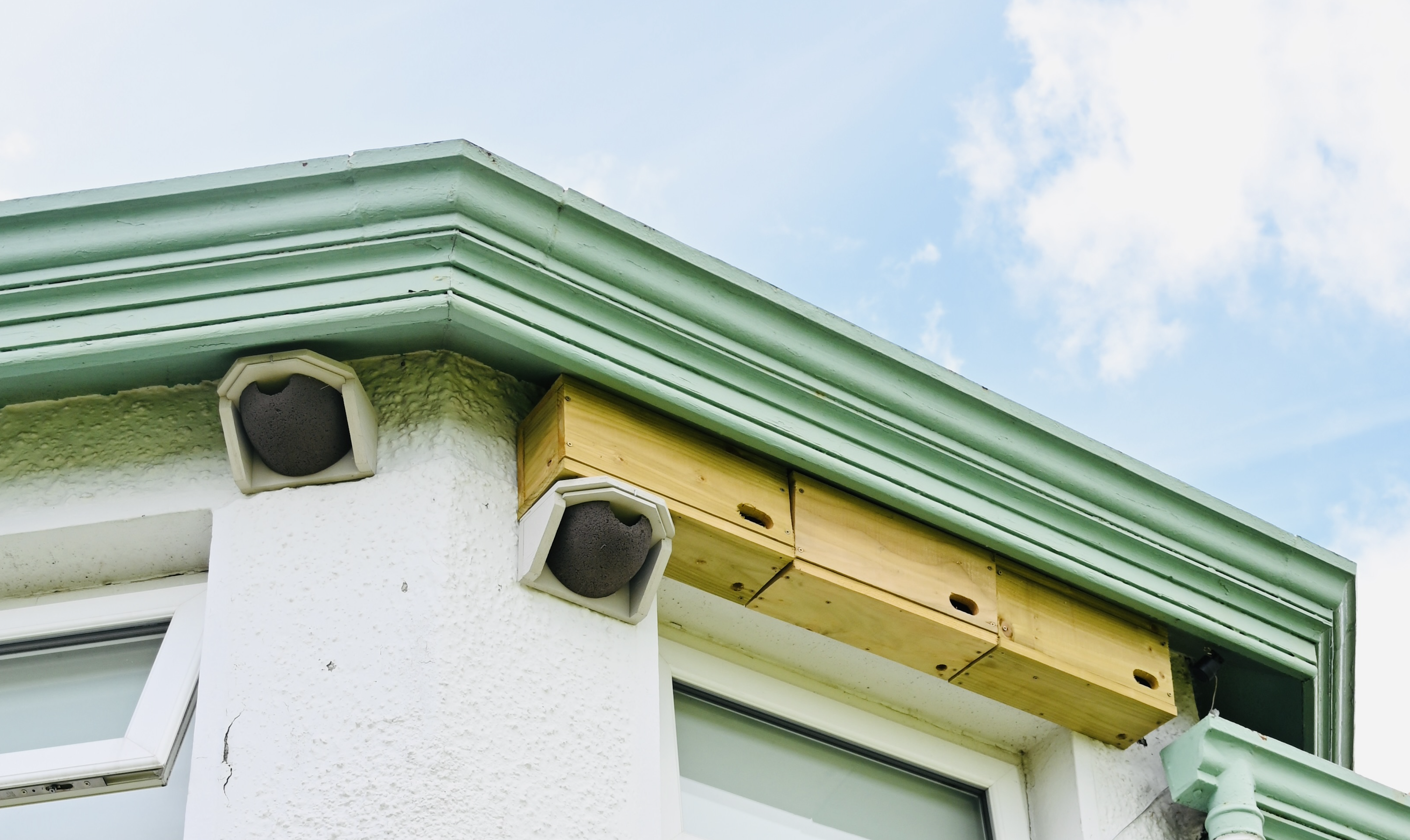 TURNKEY: House martin cups are a home from home for the birds