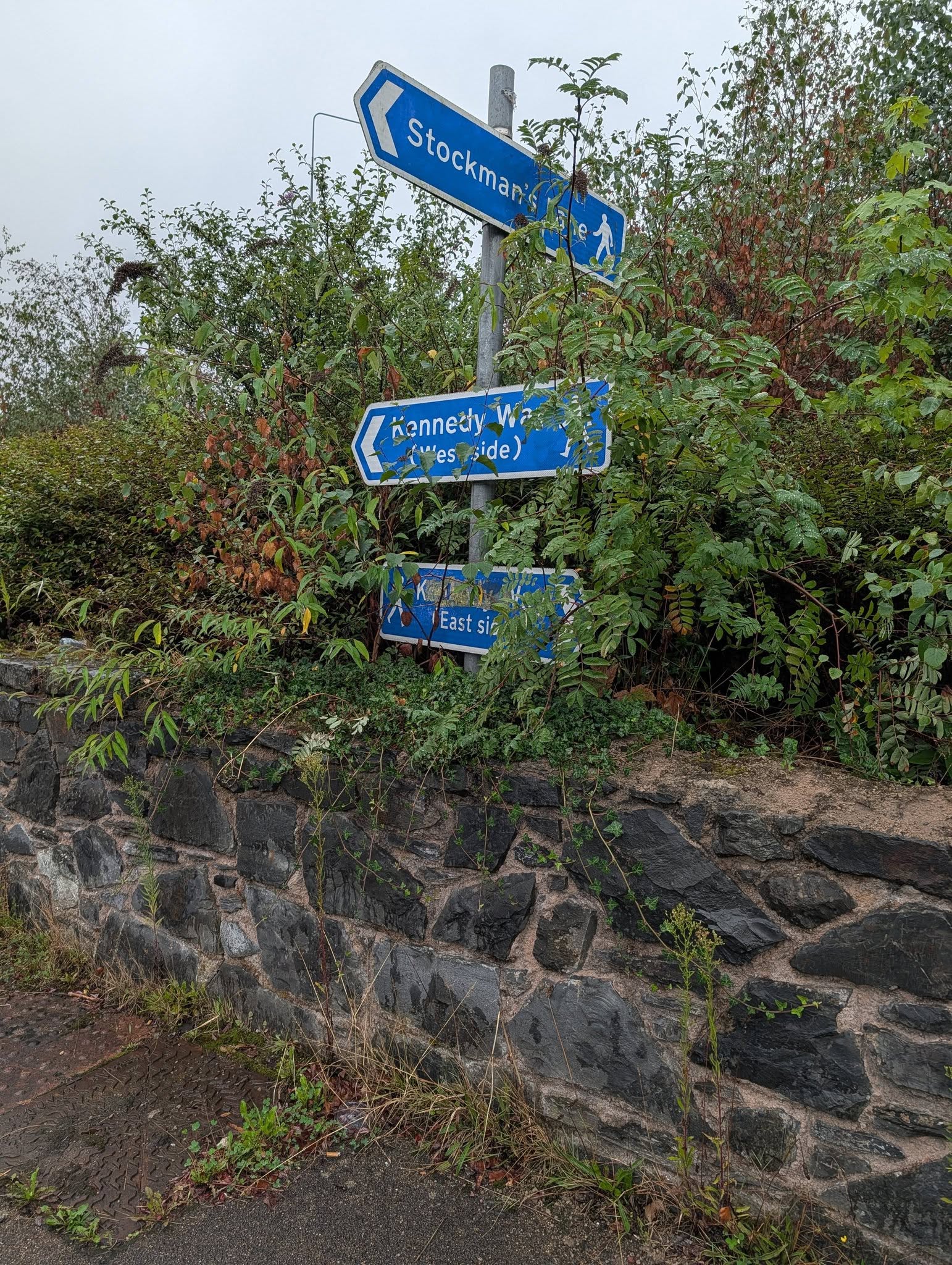 Not sure which way to go