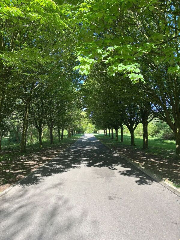 FALLS PARK RUN