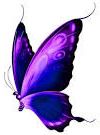 Butterfly purple 1