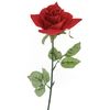 Square single red rose