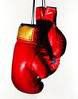 Boxing gloves 1 
