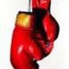 Square boxing gloves 1 