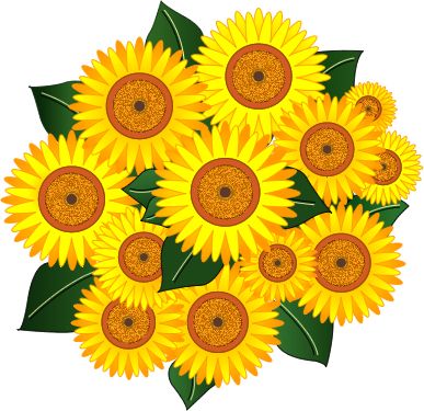 Sunflowers