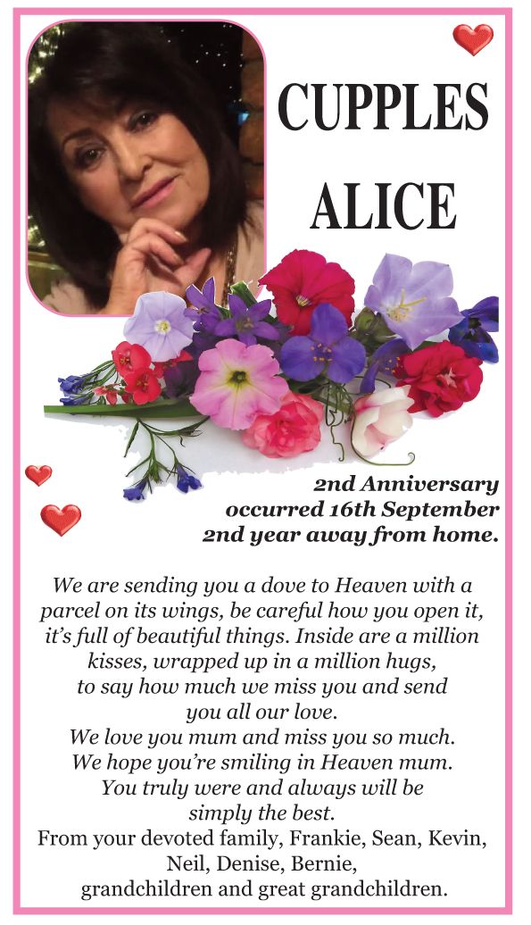 Alice cupples layout 1