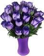 Purple roses bunch