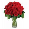 Square 12 red roses