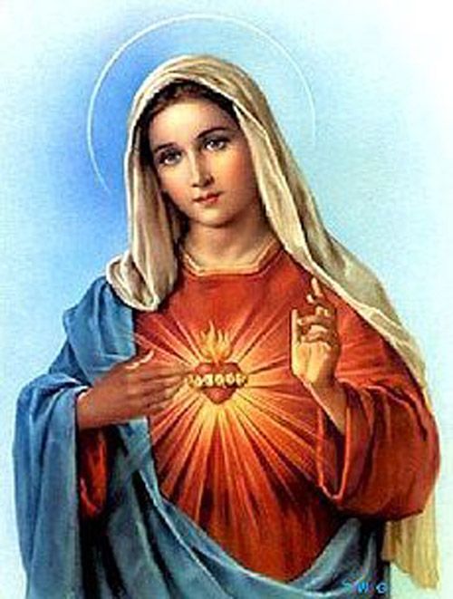 Immaculate heart of mary