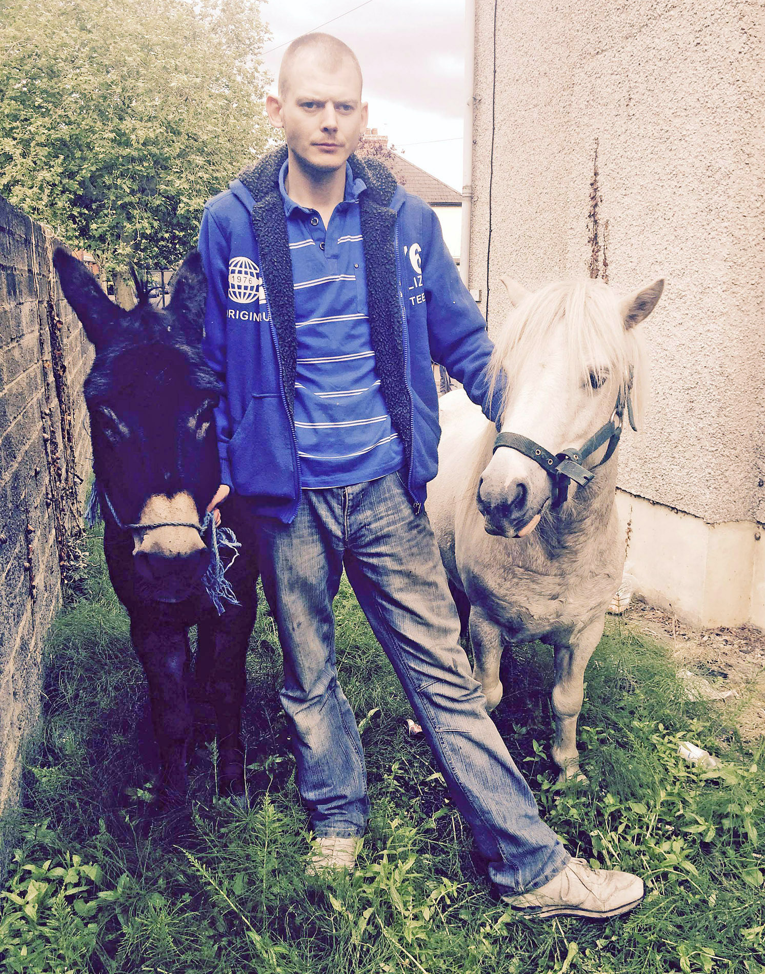 Damien Madden with Spud and Donnie, who are being temporarily kept on a plot of land at Alliance Avenue