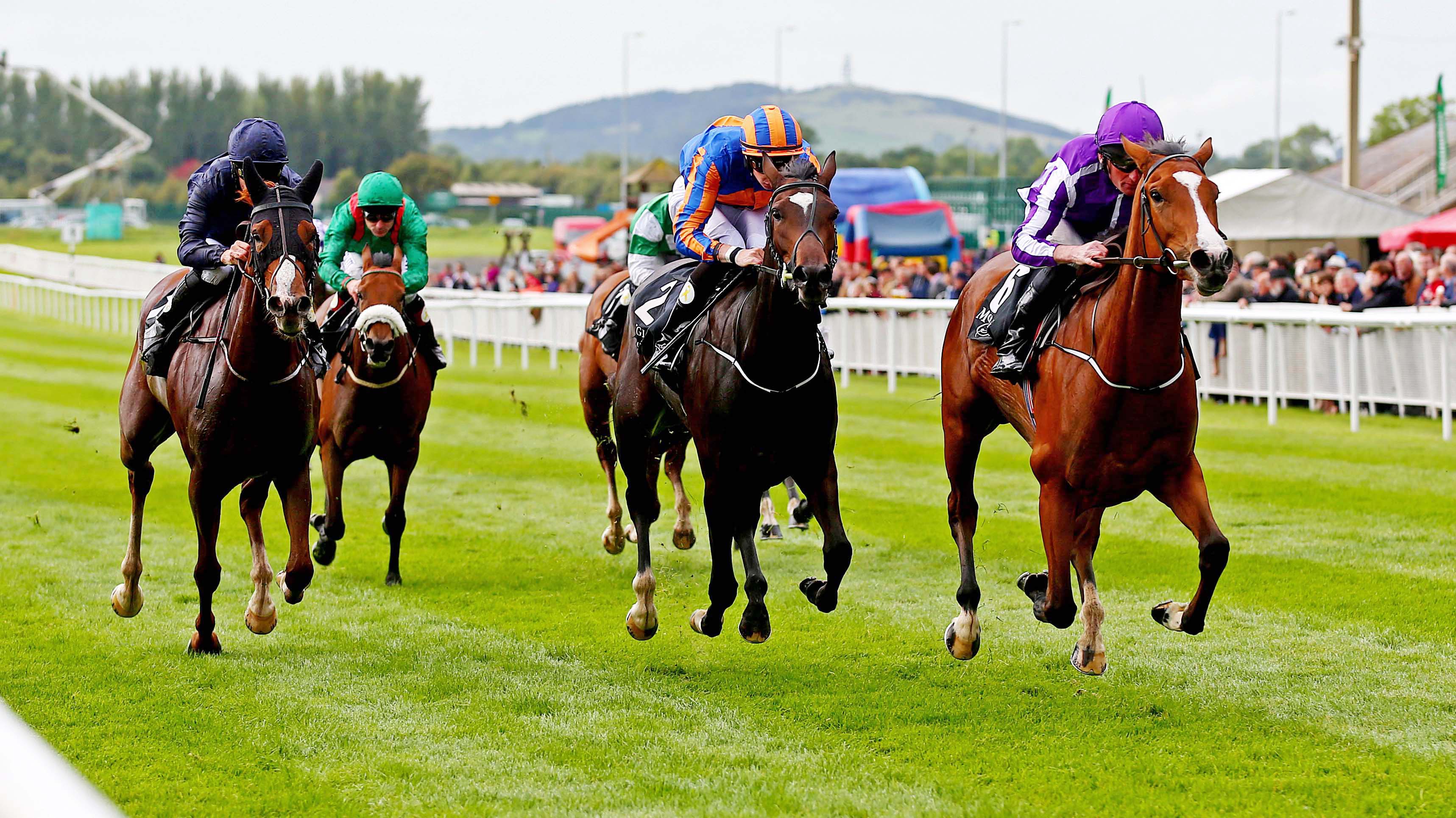 Guineas Double Bid: English Guineas winner Minding will take all the beating on Sunday.