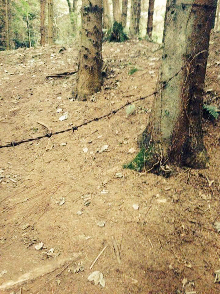 The barbed wire laid across the trail at Hydebank