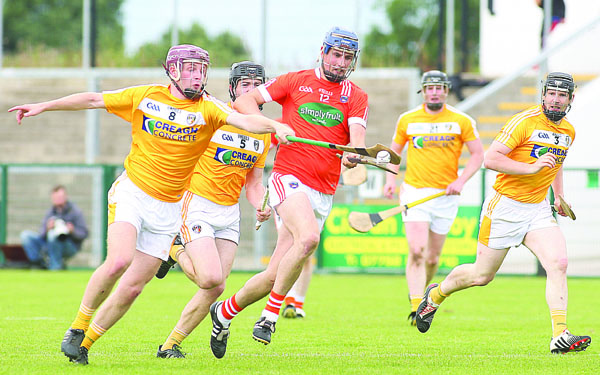 Antrim defeated Armagh in last year’s Ulster final and in a recent league clash