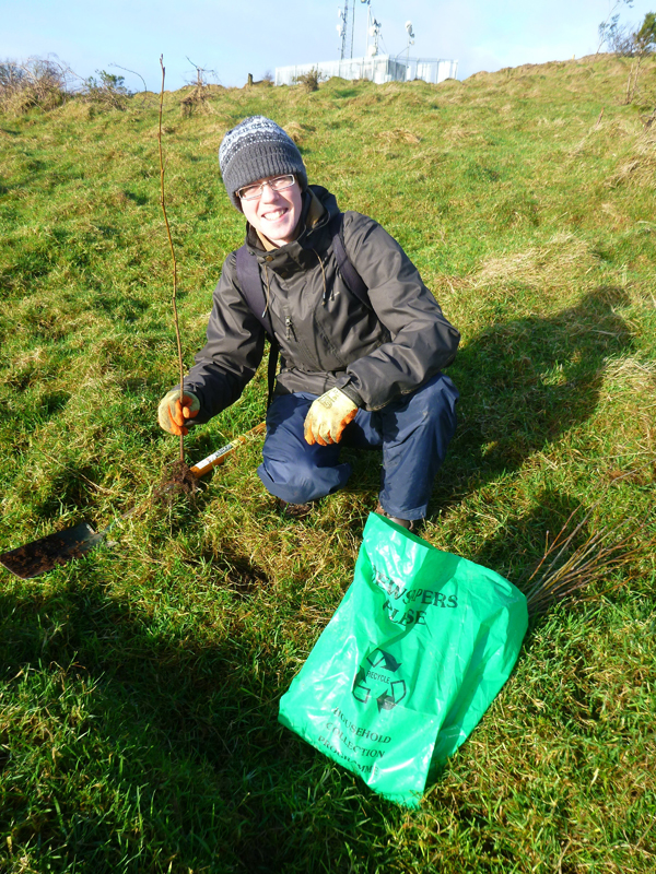 Belfast Hills are seeking volunteers for tree and hedge planting