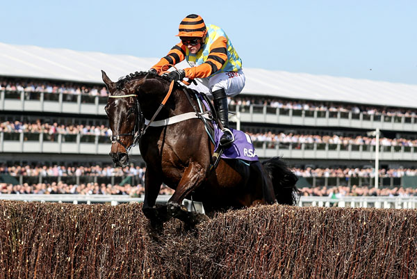 GOLDEN BET: Might Bite is the 4/1 joint favourite for the Gold Cup