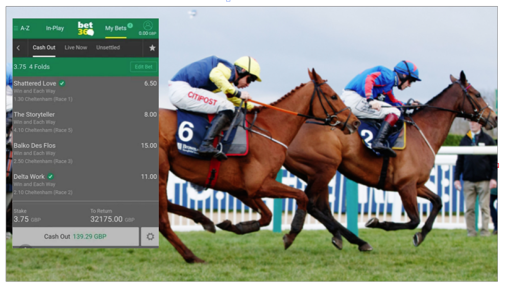 CASH OUT HEARTBREAKER: The Storyteller is about to get the better of Touch of Ginge in the final yards to the dismay of our Derry cash-out punter \n(her cash-out bet inset)