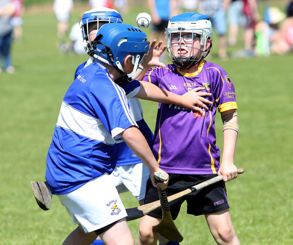 Oliver White (Carryduff) keeps his eye on the ball during the Pat Sheehan U10 Memorial Hurling Tournament at Milltown\n\n