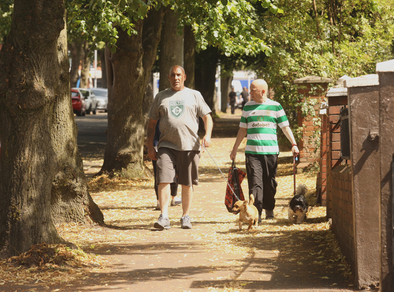 Summer-Fall: Walking the dogs in warm sunshine through a blanket of leaves in Alliance Avenue