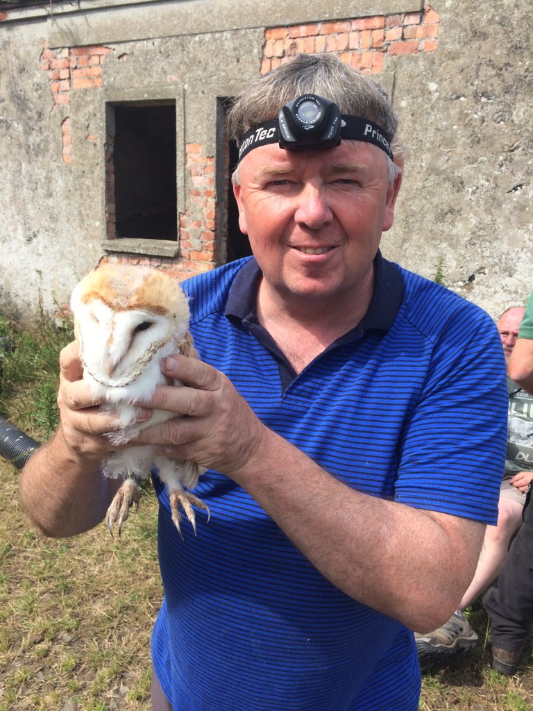 Aidan Crean holds one of the baby owls