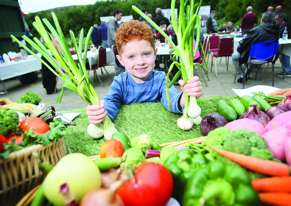 Ruaidhri McCorry shows off some of the veg at theColin Neighbourhood Partnership annual allotment festival.