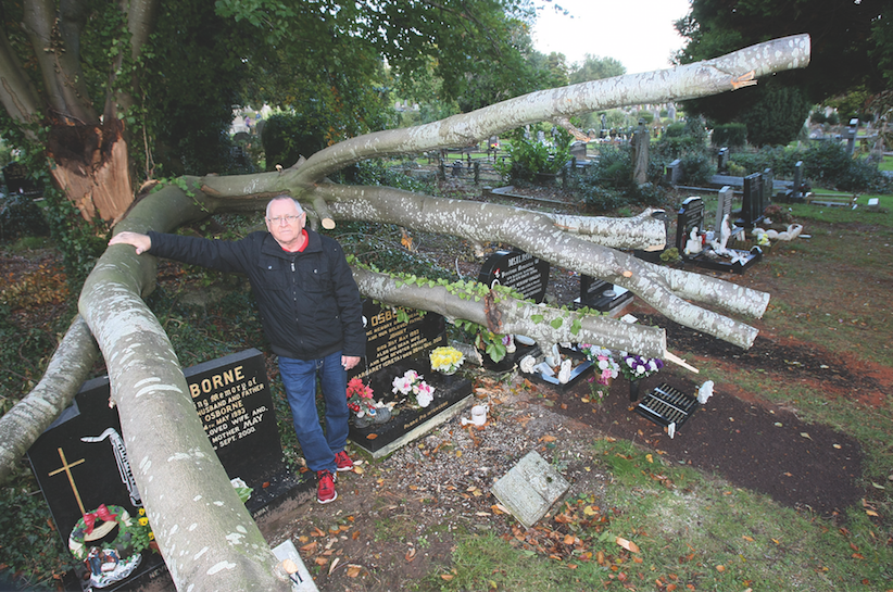 SHOCK: Gerry Osborne visits his parents’ grave in the City Cemetery where a tree lies on top of their  headstone\n