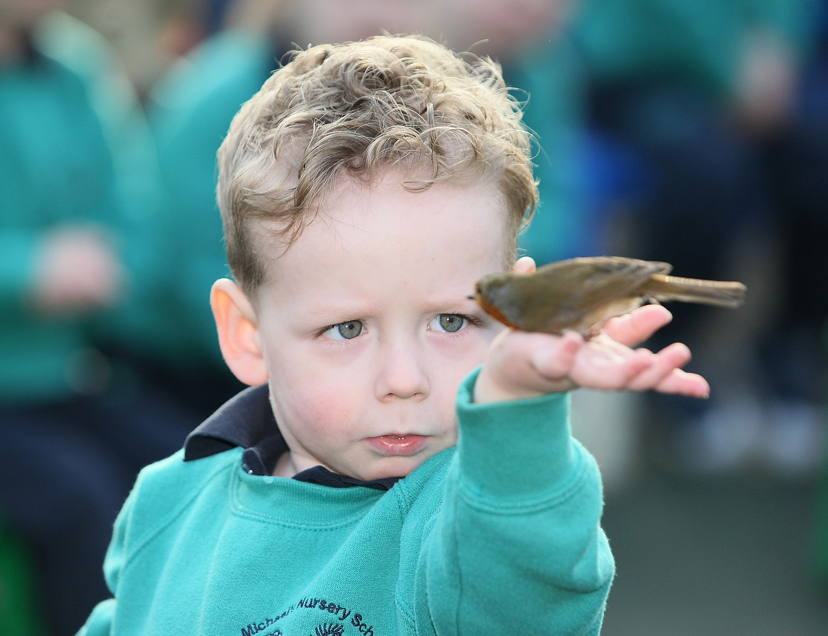 St Michael\'s Nursery School pupil Cormac releases a robin during a bird-ringing day hosted by Aidan Crean to show the children what wonderful birds they have in their back gardens