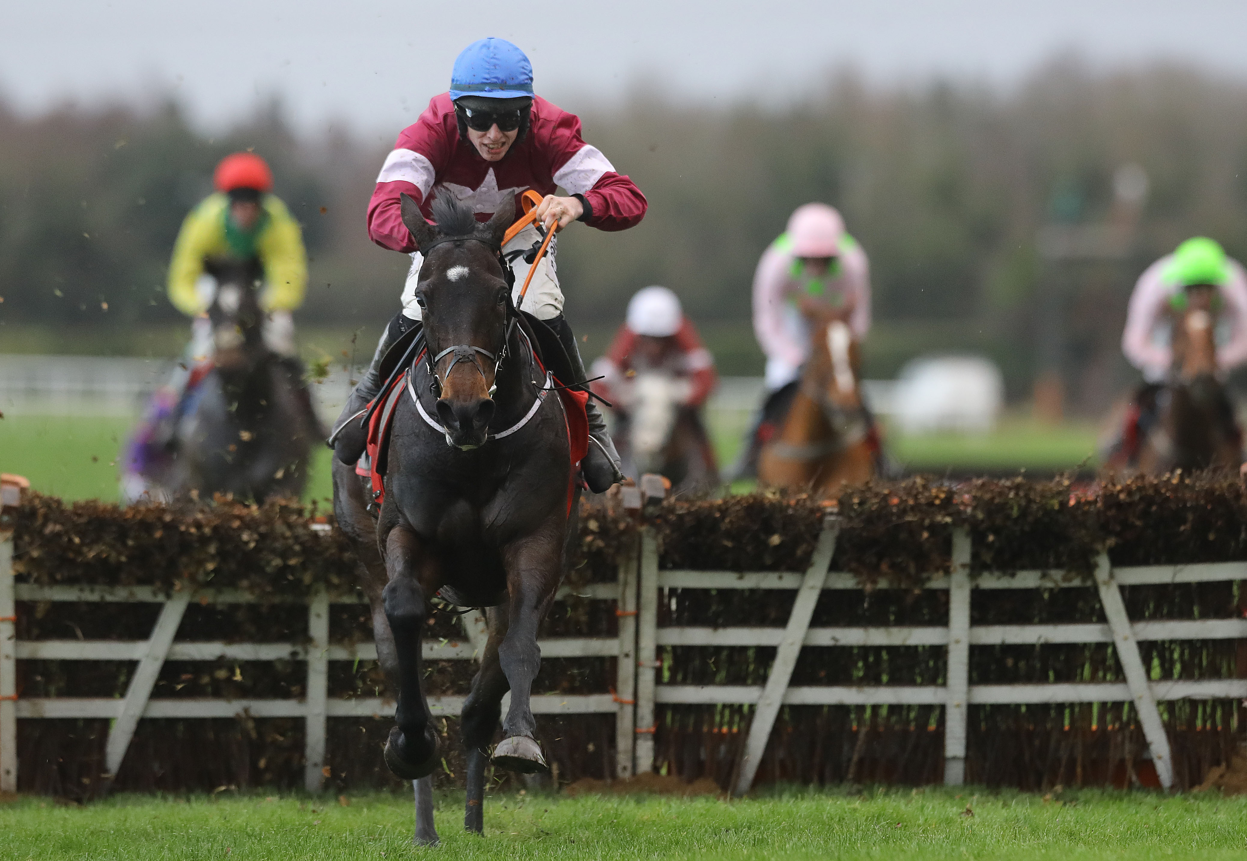 Apple Jades has been cut for the Champion Hurdle and is as low as 2/1 with Sean Graham Bookmakers