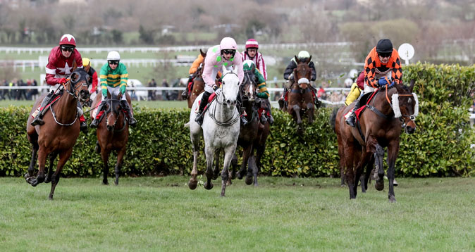 NATIONAL FAVOURITE: Tiger Roll is as short as 4/1 with Sean Graham to retain his Aintree title
