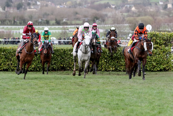 THE GRAND NATIONAL LOTTERY: 40 runners go to post for the English Grand National on Saturday evening at 5.15 and Tiger Roll (left) is the short 4/1 favourite
