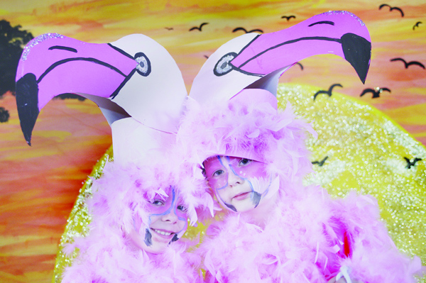 Flamingos Lucas Irvine and Matthew Doherty will ruffle some feathers tonight (Thursday) at Sacred Heart Boys Primary School play The Lion King