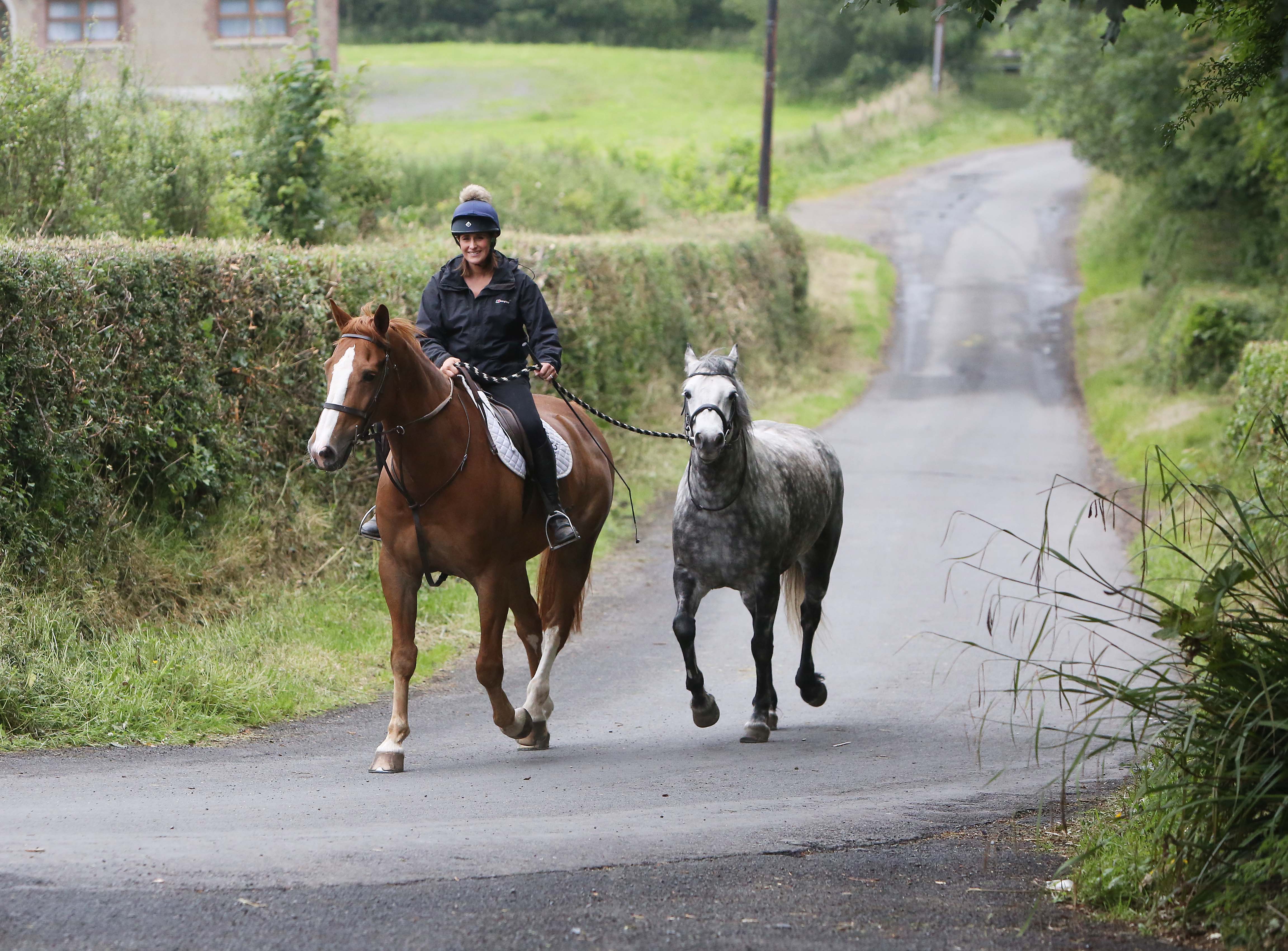FOLLOWING THE LEADER: A rider leads a horse along a country road outside Lisburn on Sunday afternoon