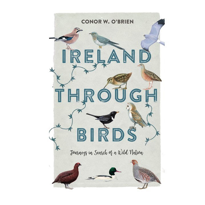 Conor O’Brien’s new book