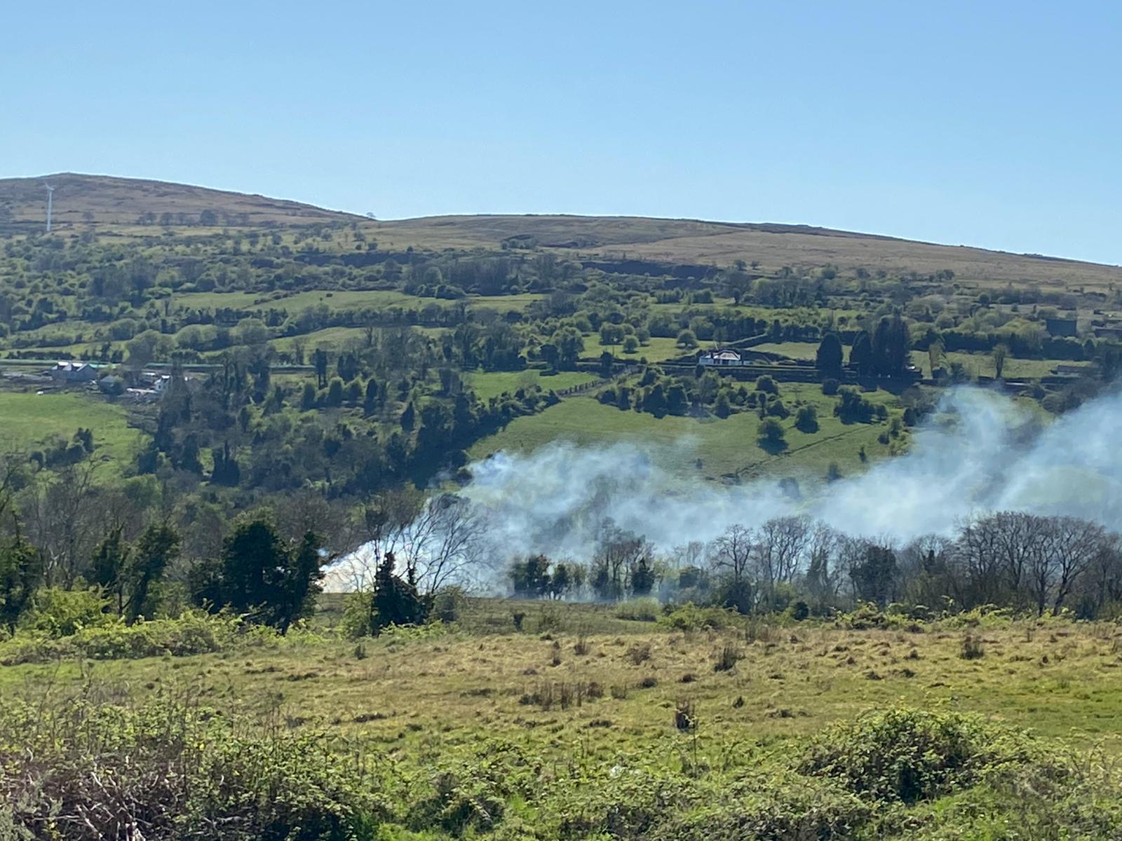 APPEAL: Gorse fire in Colin Glen Forest Park yesterday