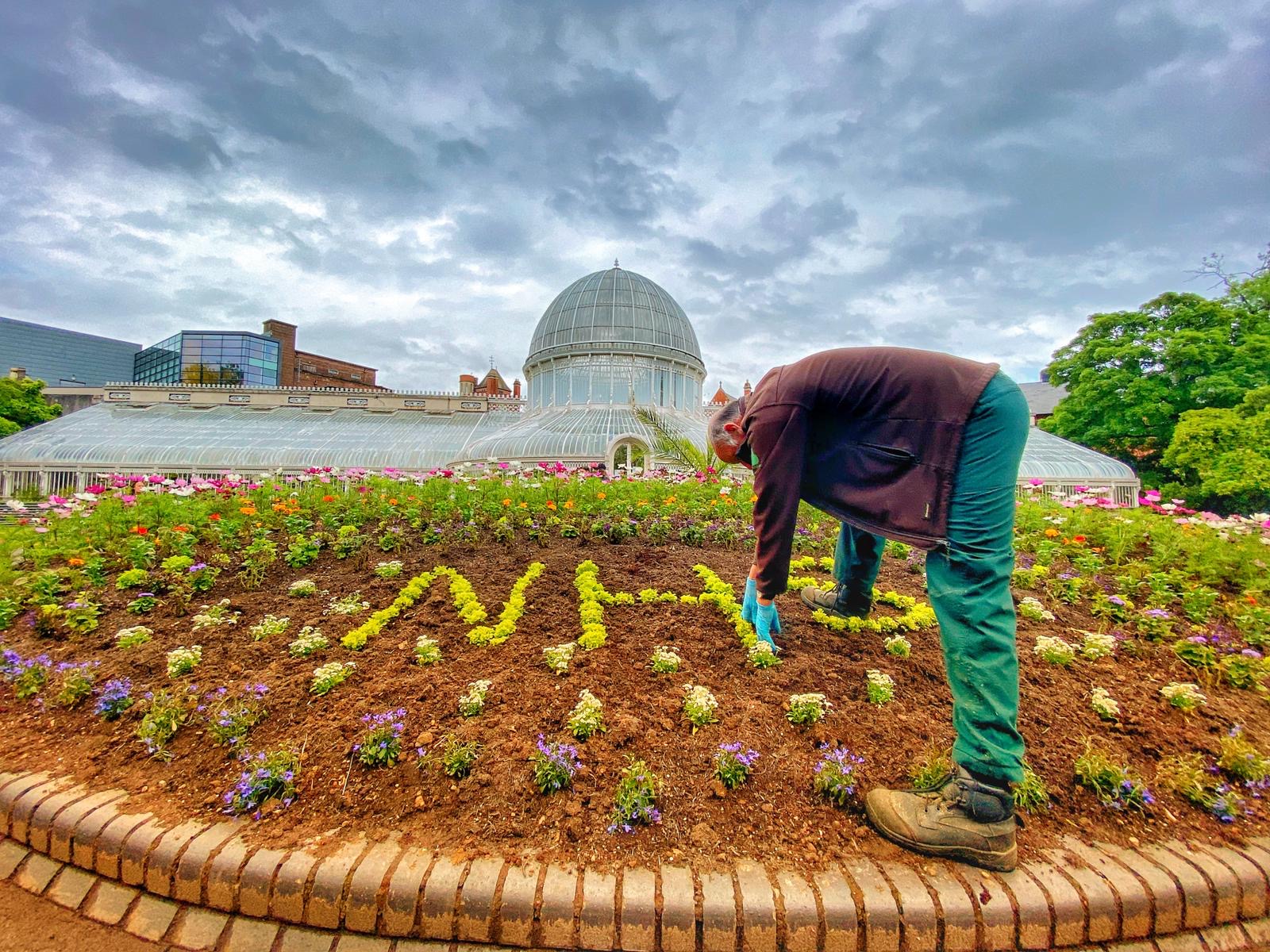 BOTANIC TRIBUTE: A Council worker plants a tribute to our health service heroes in front of the Palm House in Botanic Gardens
